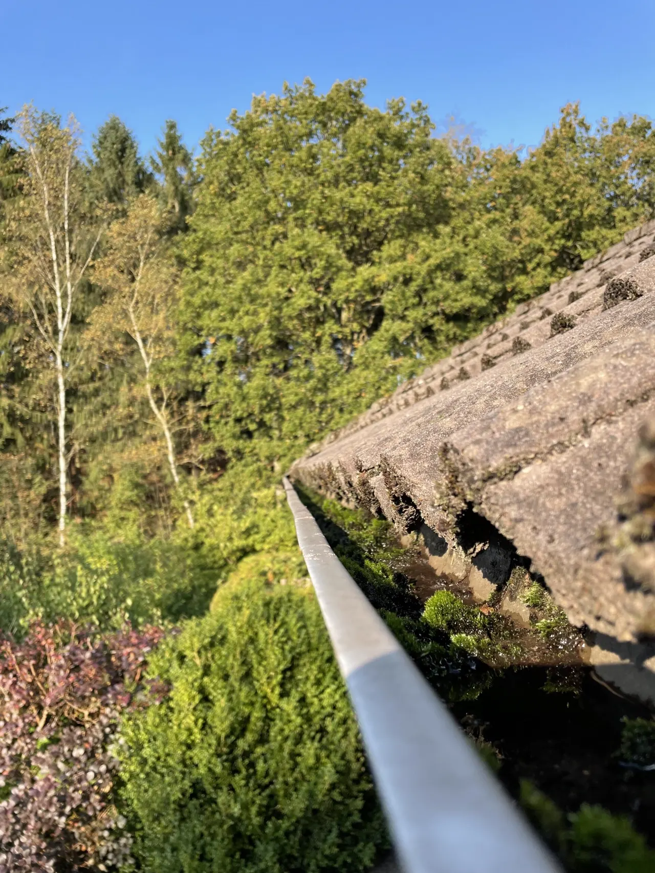 Tagrende med mos og jord i bunden før rensning i Silkeborg